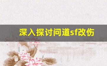 深入探讨问道sf改伤害机制对战斗效果的影响